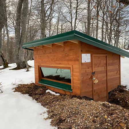 Rakovic Katun - Biogradska Gora Accomodation Villa Berane Esterno foto