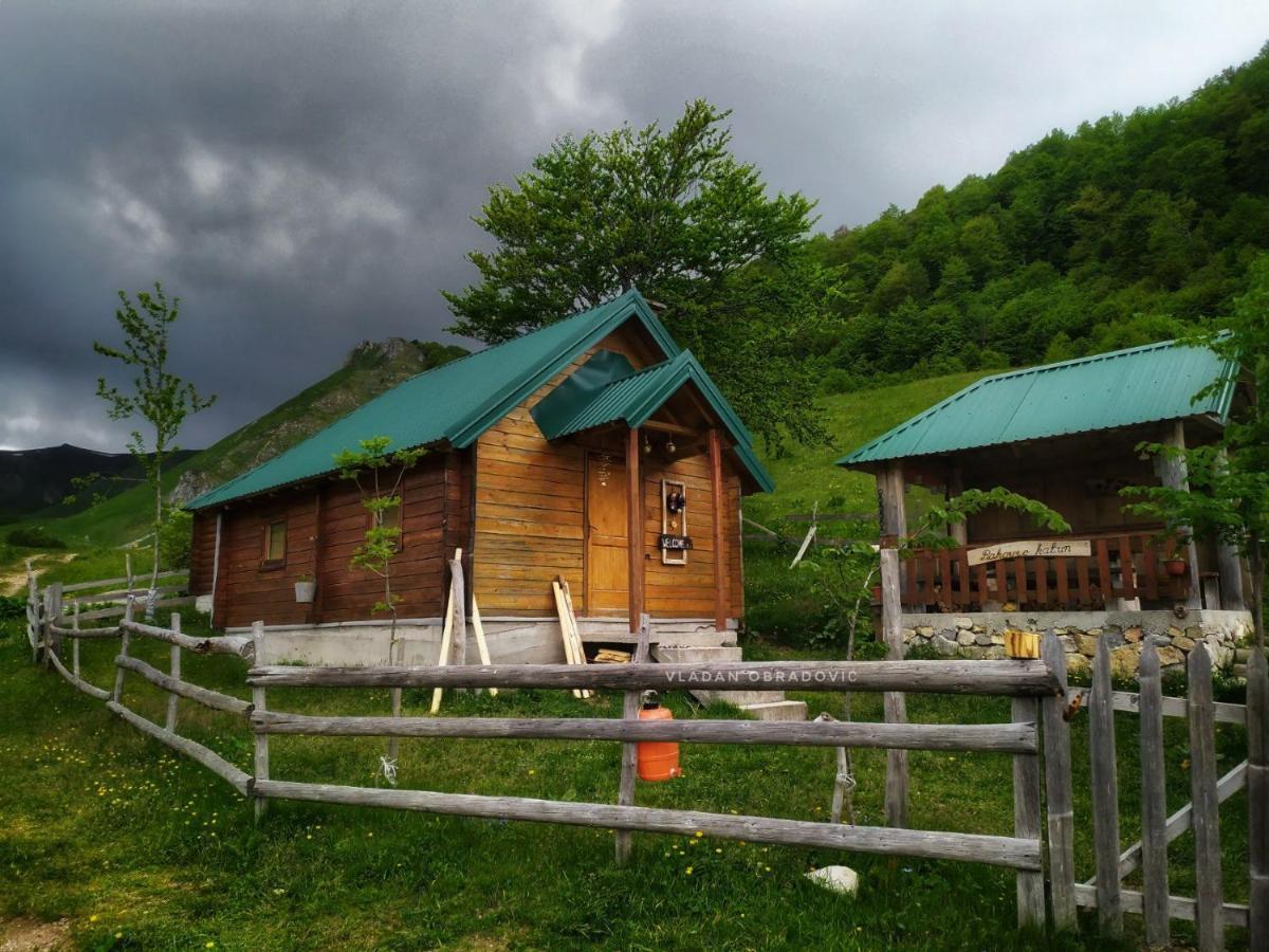 Rakovic Katun - Biogradska Gora Accomodation Villa Berane Esterno foto