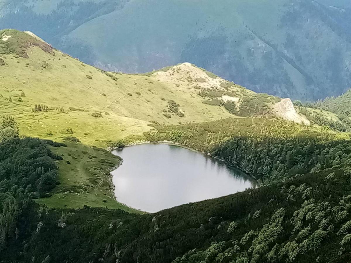 Rakovic Katun - Biogradska Gora Accomodation Villa Berane Esterno foto