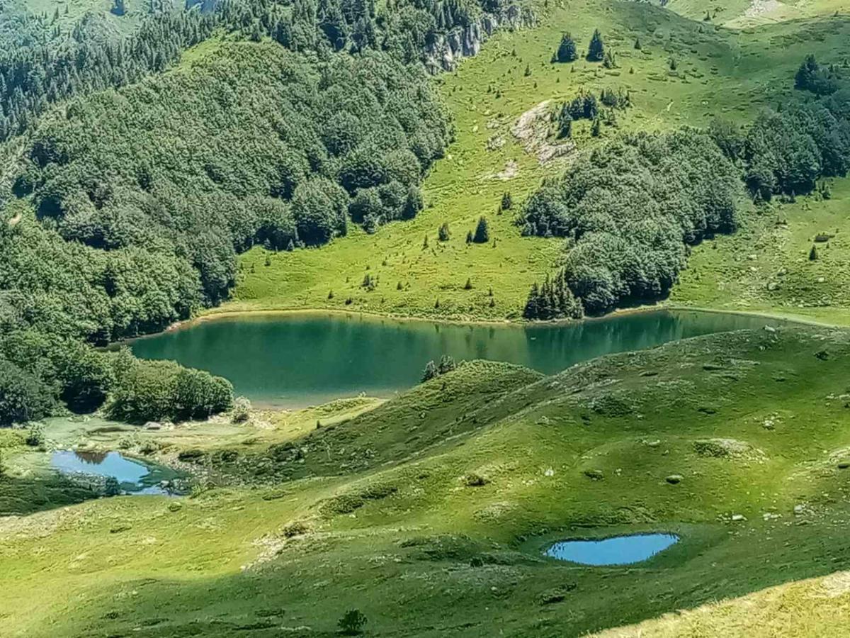 Rakovic Katun - Biogradska Gora Accomodation Villa Berane Esterno foto