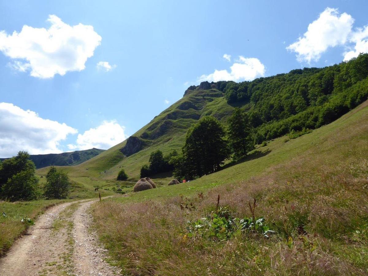 Rakovic Katun - Biogradska Gora Accomodation Villa Berane Esterno foto