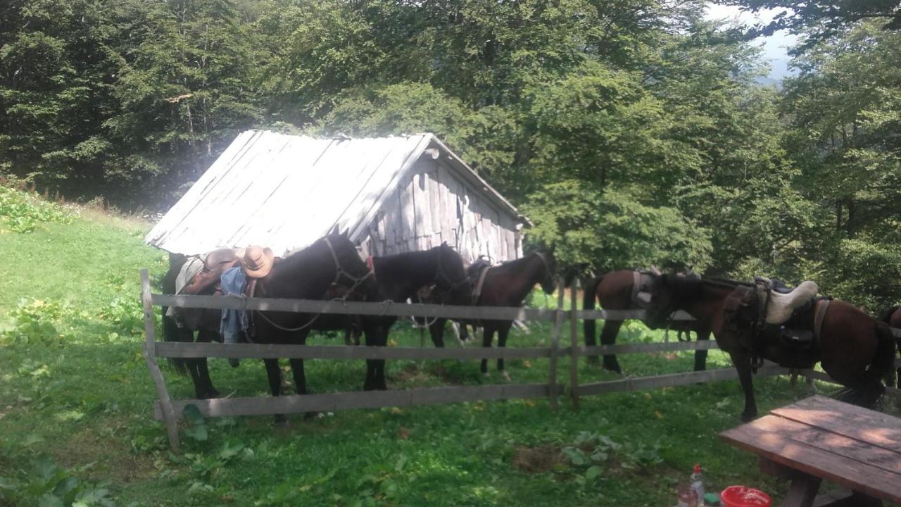 Rakovic Katun - Biogradska Gora Accomodation Villa Berane Esterno foto